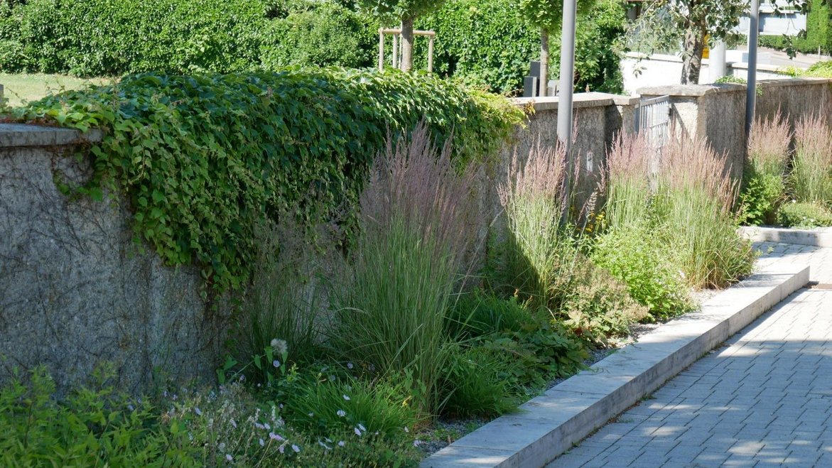 Friedhofsmauer Hohentengen