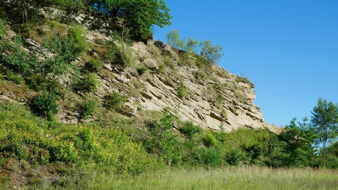 Sandgrube Ursendorf