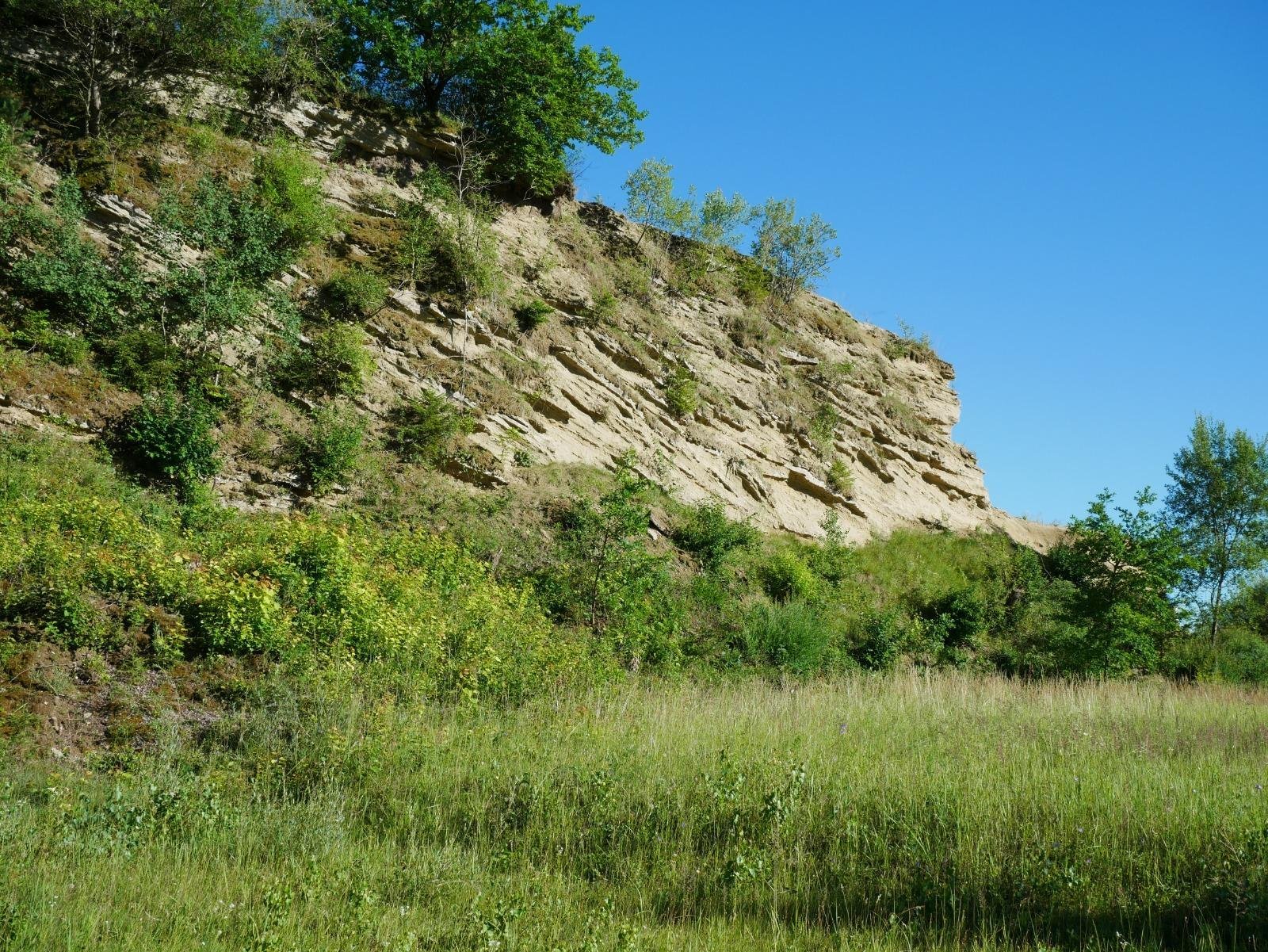 Sandgrube Ursendorf
