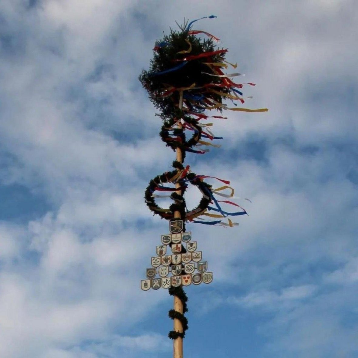 Maibaum Hohentengen