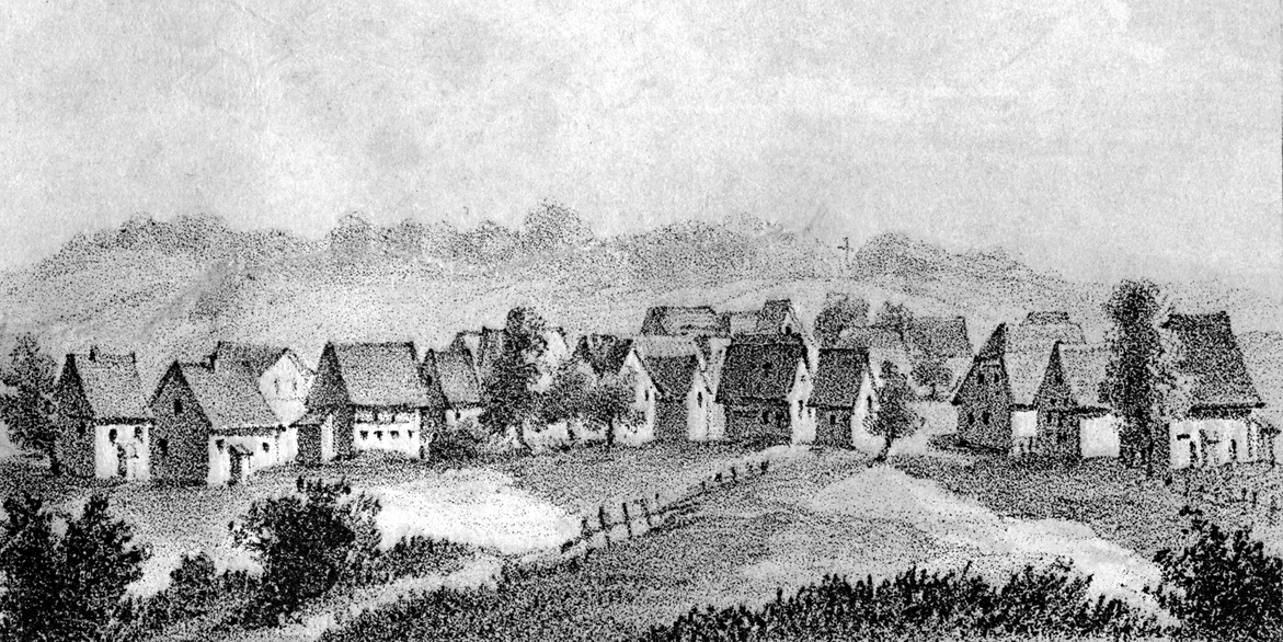 Altes Bild von Eichen